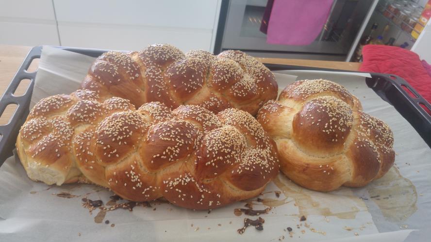 חלות לשבת
