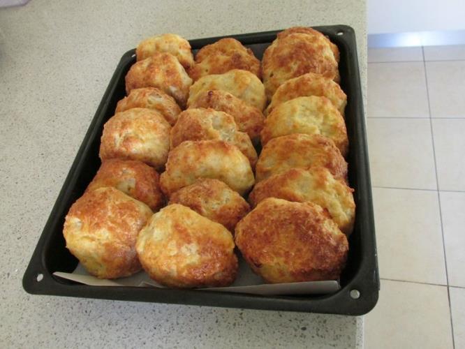 גביניות (Bogaci...