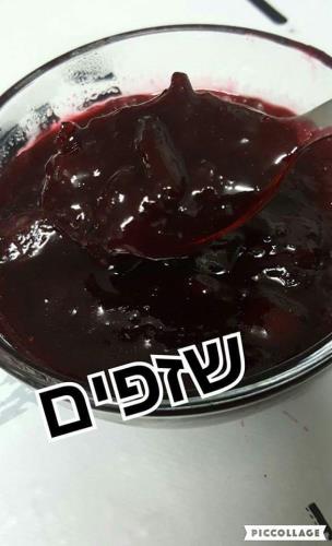 ריבת שזפים 