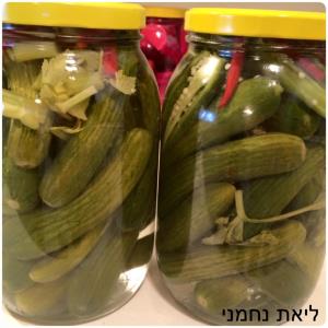 מלפפון חמוץ בהכנה ביתית 