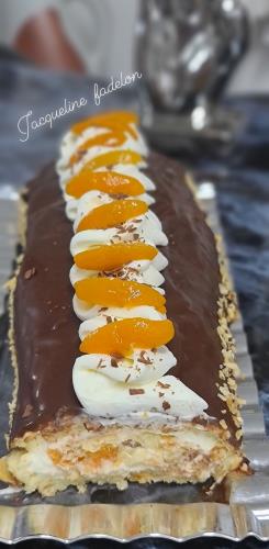 רולדה במילוי גבינת שמנת ומשמש🍑 בציפוי גנאש🍫 