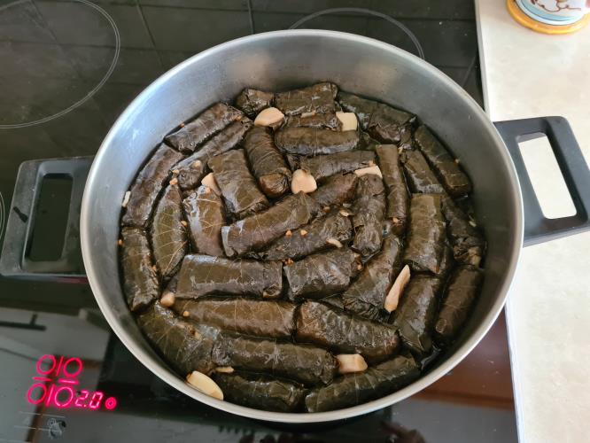 עלי גפן ממולאים