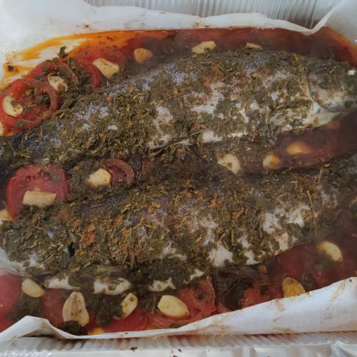 דגי פורל אפויים על מצע עגבניות. 