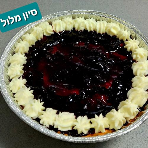 עוגת גבינה אפוייה עם מחית אוכמניות 😍סיון מלול😍😍😍