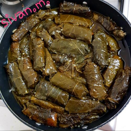 עלי גפן ממולאים