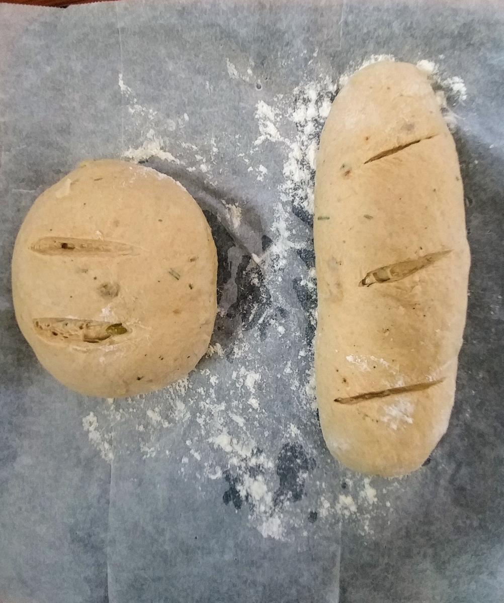 הלחם 